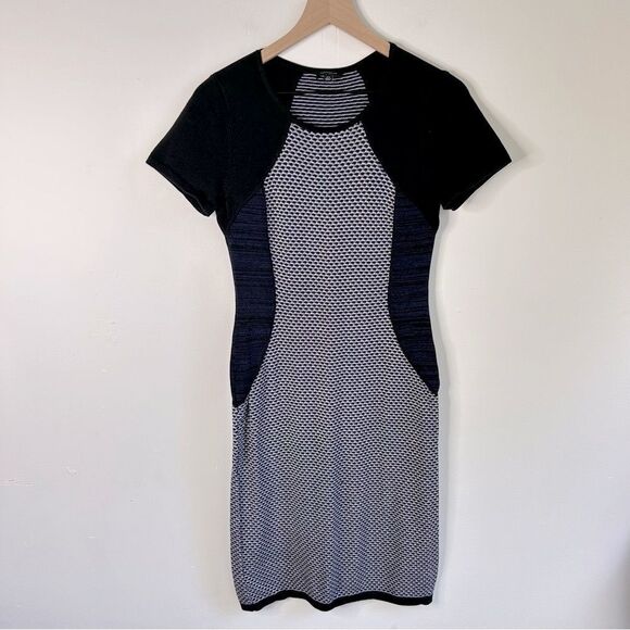 Ann Taylor Gray Raglan Sheath Midi Dress size Small Tall Office Siren Fitted - Picture 1 of 9